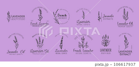 French lavender minimal icons. Oil, natural cosmetics and beauty symbols with lavender flowers. Vector plant or herb branches with leaves and flowers, lavandula floral bouquets isolated emblems set 106617937