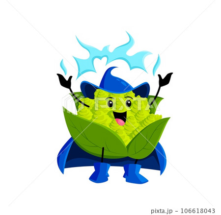 Cartoon Halloween romanesco cabbage vegetable sorcerer character. Isolated vector raw veggies mage. Whimsical wizard healthy food personage with magical power harnessing enchanting energy of nature 106618043