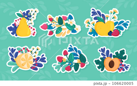Fruit and Leaves with Twigs as Sweet Plant Vector Sticker Set 106620005