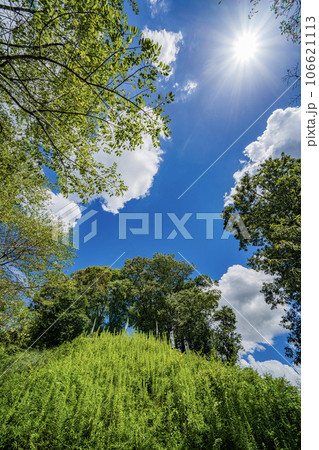 夏の久々利城跡の景色 106621113