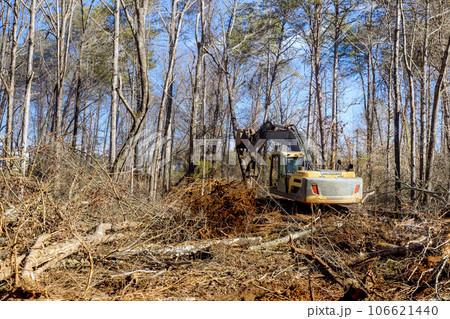 With help of an excavator worker uproots trees in forest, preparing ground for building house 106621440