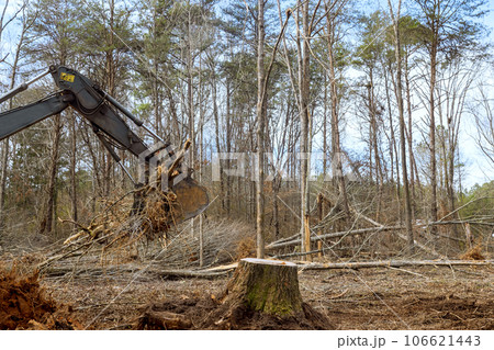 An excavator is used to uproot trees found in forest worker prepare ground for building house 106621443