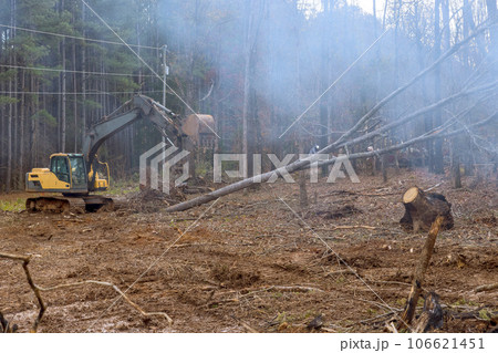 With assistance of an excavator worker is creating space for house by removing trees in forest. With assistance of an excavator worker is creating space for house by removing trees in forest. 106621451