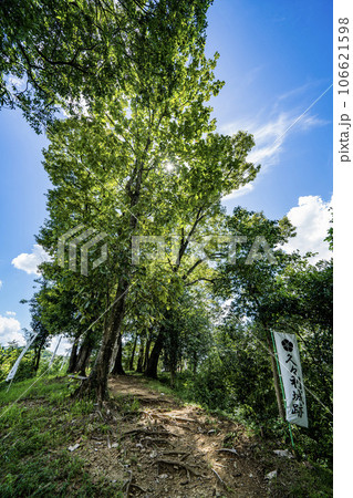 夏の久々利城跡の景色 106621598