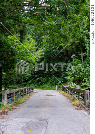 山道にかかるのざわ橋 山道にかかるのざわ橋 106622101