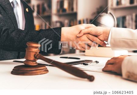 握手する男女:ビジネス 握手する男女:ビジネス 106623405