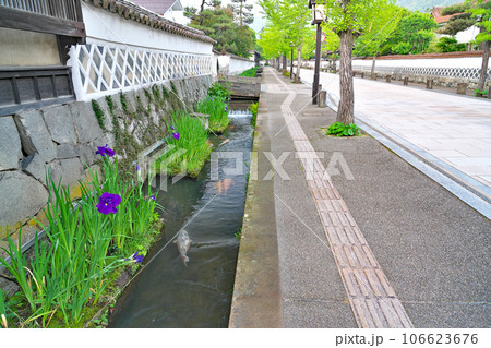 【津和野の町並み (殿町通り)】 島根県鹿足郡津和野町後田 106623676