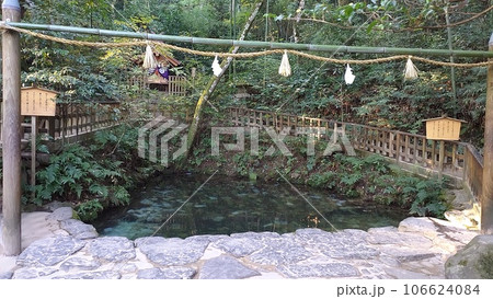 【島根県】八重垣神社　鏡の池 106624084