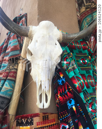 バッファローホーン 壁掛け 角 インテリア 壁飾りメキシコ産ビンテージ