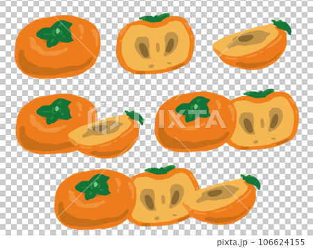 柿と断面の手描き風イラストセット 106624155