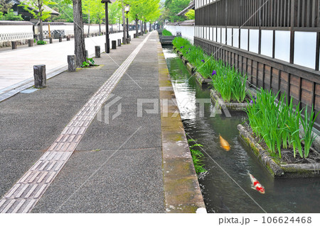 【津和野の町並み (殿町通り)】 島根県鹿足郡津和野町後田 【津和野の町並み (殿町通り)】 島根県鹿足郡津和野町後田 106624468