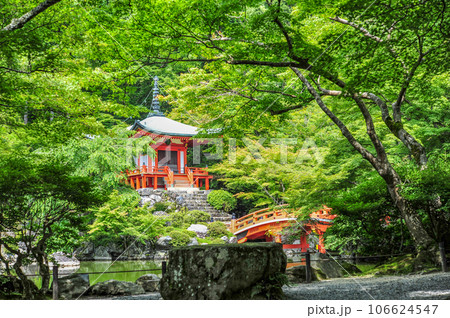 醍醐寺 弁天堂 醍醐寺 弁天堂 106624547