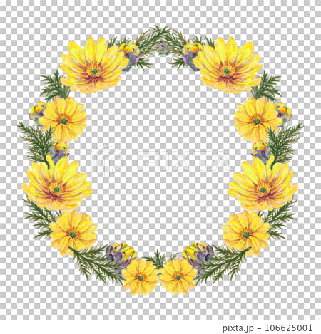 黃色福壽草圓框 106625001