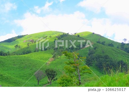 【広島県】安芸太田町の深入山 106625017