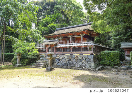 醍醐寺　清瀧宮本殿 106625047