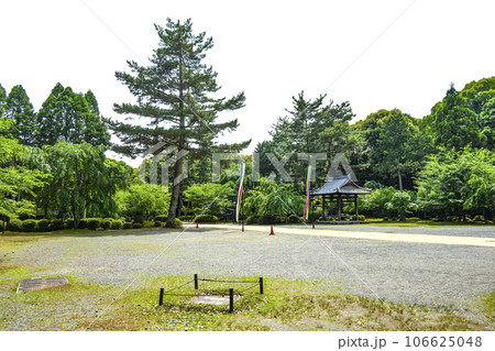 醍醐寺　境内（金堂前） 106625048