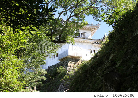 木々の間から見る和歌山城の天守閣 木々の間から見る和歌山城の天守閣 106625086