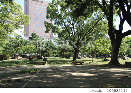 緑のある和歌山城公園 106625113