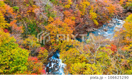八幡平・松川渓谷の紅葉(森の大橋付近) 八幡平・松川渓谷の紅葉(森の大橋付近) 106625290