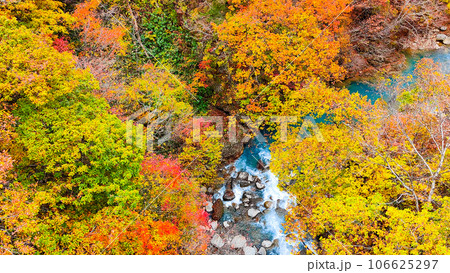 八幡平・松川渓谷の紅葉(森の大橋付近) 八幡平・松川渓谷の紅葉(森の大橋付近) 106625297