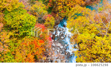 八幡平・松川渓谷の紅葉（森の大橋付近） 106625298
