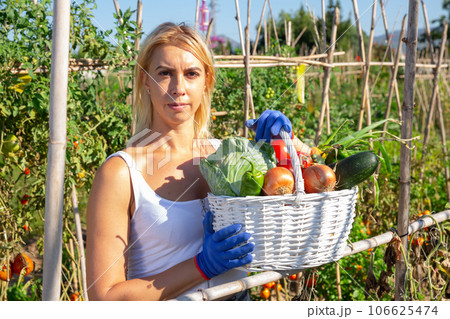 Young woman engaged in cultivation of organic vegetables in her small garden showing good harvest 106625474