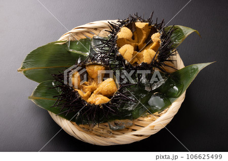 〔三陸・宮城県産〕ガゼウニ 106625499