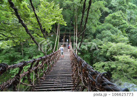 祖谷のかずら橋　揺れる吊り橋を渡る観光客 106625773