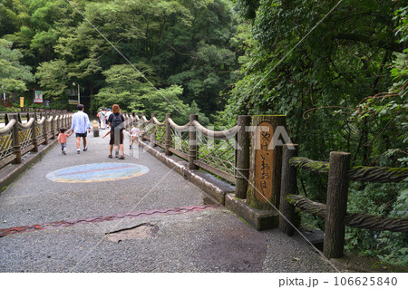 祖谷渓大橋 祖谷のかずら橋へ向かう家族連れ 祖谷渓大橋 祖谷のかずら橋へ向かう家族連れ 106625840