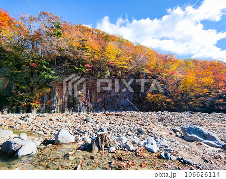 八幡平・松川渓谷の紅葉(松川玄武岩) 八幡平・松川渓谷の紅葉(松川玄武岩) 106626114