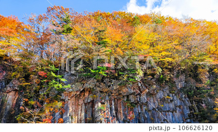 八幡平・松川渓谷の紅葉（松川玄武岩） 106626120
