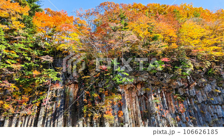 八幡平・松川渓谷の紅葉（松川玄武岩） 106626185