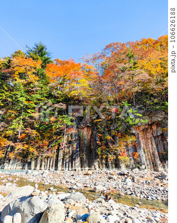 八幡平・松川渓谷の紅葉（松川玄武岩） 106626188