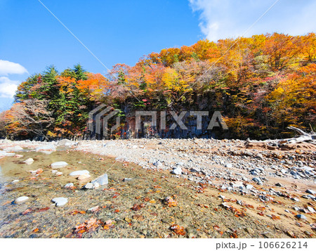 八幡平・松川渓谷の紅葉（松川玄武岩） 106626214