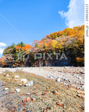 八幡平・松川渓谷の紅葉（松川玄武岩） 106626225