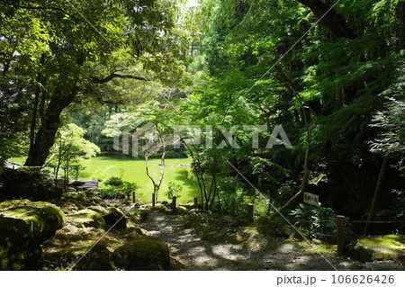 成田山の境内にある、成田山公園の池の風景 成田山の境内にある、成田山公園の池の風景 106626426