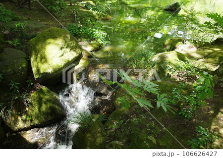 成田山の境内にある、成田山公園の池の風景 成田山の境内にある、成田山公園の池の風景 106626427