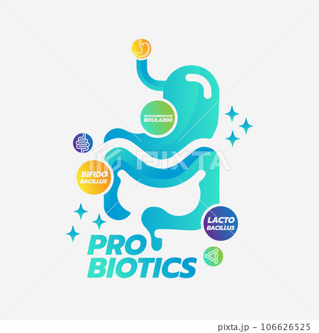 Probiotic Foods Good Bacteria Vector illustration.  106626525