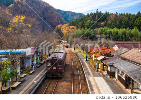 紅葉の神戸駅2 紅葉の神戸駅2 106626980