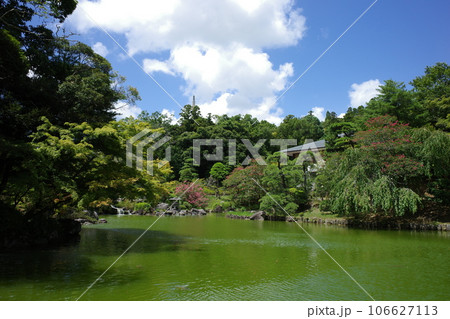 成田山公園内の池の様子 成田山公園内の池の様子 106627113