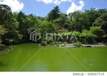 成田山公園内の池の様子 成田山公園内の池の様子 106627114