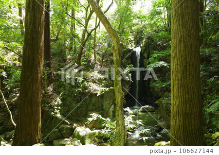 成田山公園の中にある雄飛の滝 成田山公園の中にある雄飛の滝 106627144