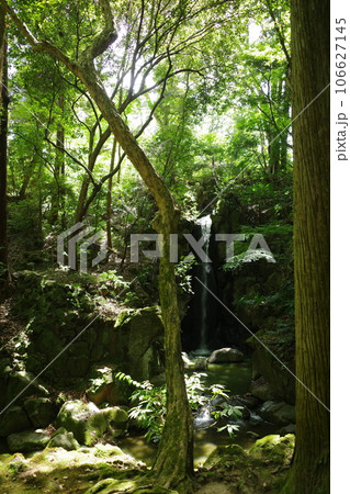 成田山公園の中にある雄飛の滝 成田山公園の中にある雄飛の滝 106627145