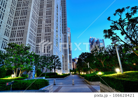 東京都庁と新宿住友ビルなど西新宿の超高層ビルの夕景 106628421