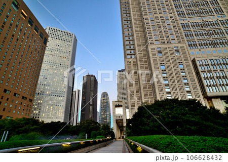 東京都庁と新宿住友ビルなど西新宿の超高層ビルの夕景 106628432