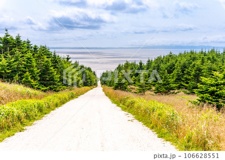白い道　宗谷岬 106628551