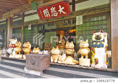 【雲林寺 (ネコ寺)】 山口県萩市吉部上 106628776
