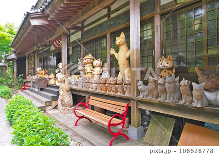 【雲林寺 (ネコ寺)】 山口県萩市吉部上 106628778