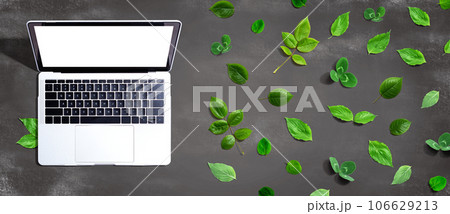 Laptop computer with green leaves Laptop computer with green leaves 106629213