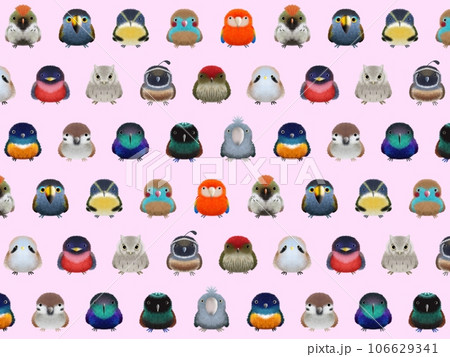フワフワ鳥C  背景①　ピンク 106629341